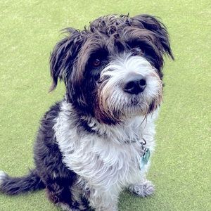 Meet your Posher, Zoë